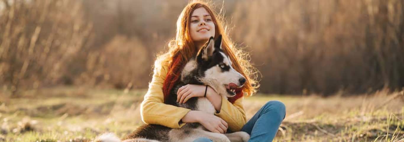 Fotografía de un perro husky siberiano