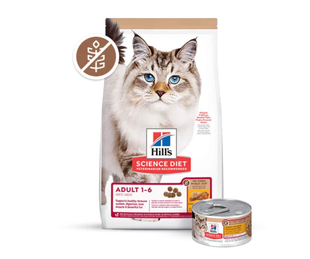 Alimento para gatos Science Light y de peso perfecto